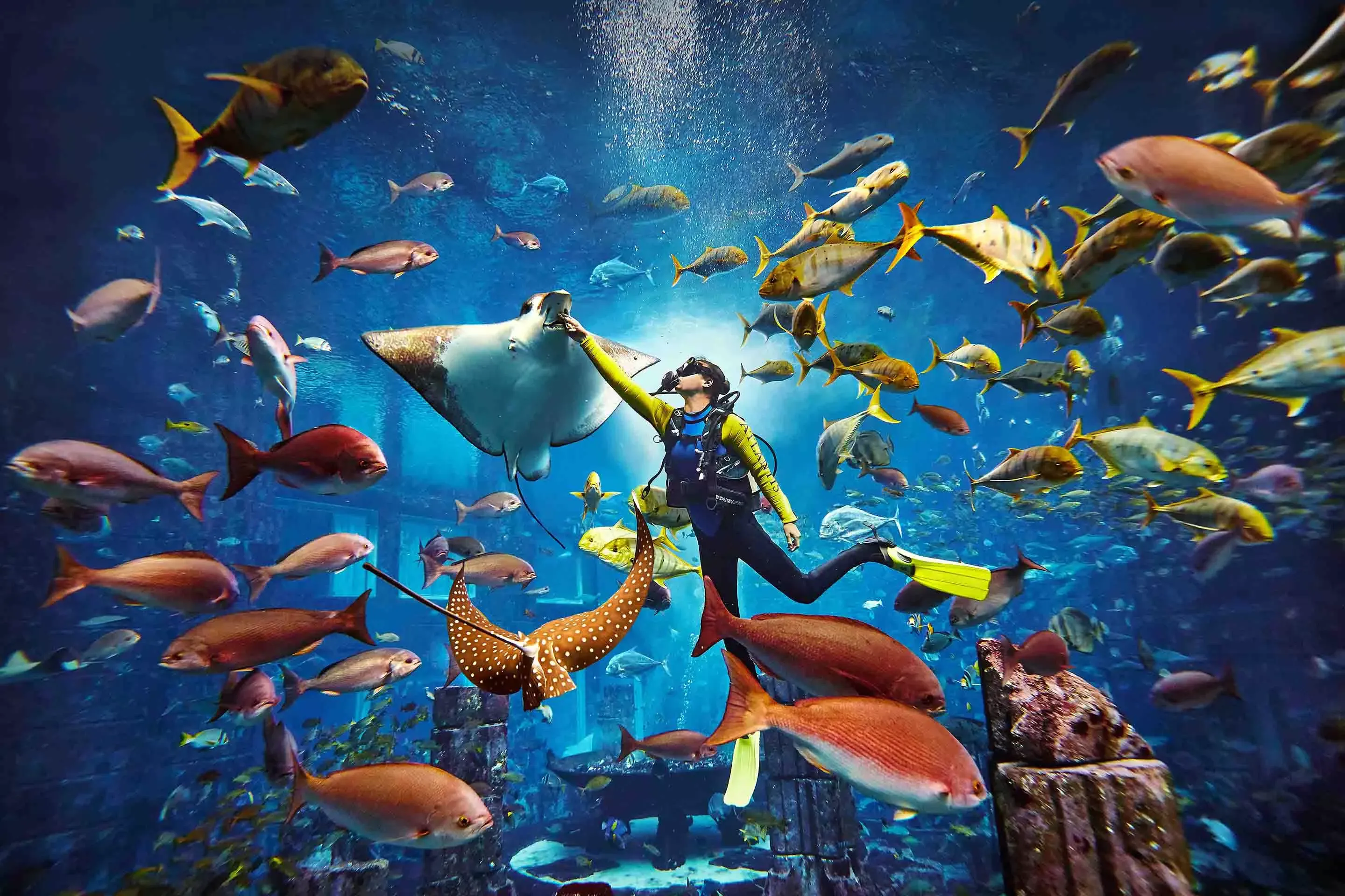 Scuba Diving Dubai