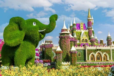 Dubai Miracle Garden